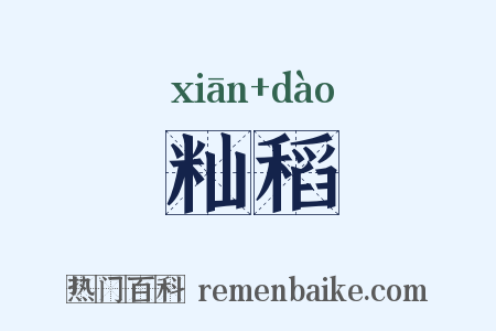 籼稻是什么意思的图片